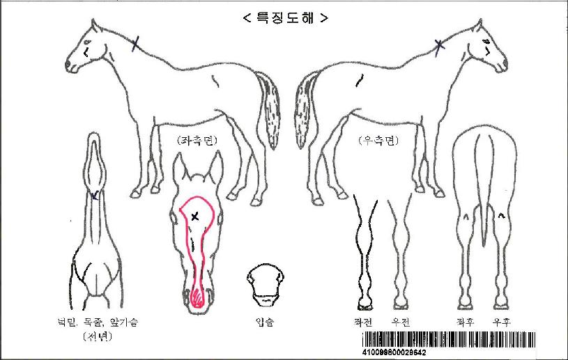 ���װ��ڸ��� ����,���,�޸�,�λ�,�ٸ��� Ư¡����