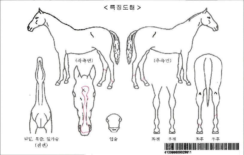 ��������ũ�ڸ��� ����,���,�޸�,�λ�,�ٸ��� Ư¡����