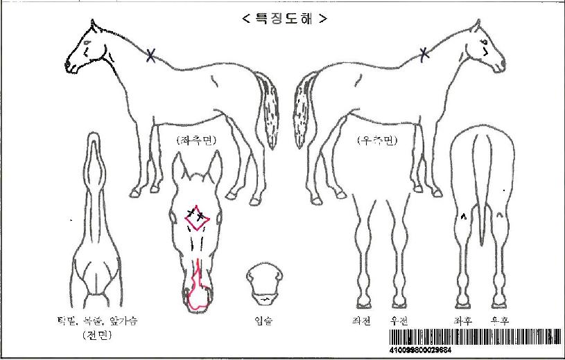 ���ν��ͷ��̵��ڸ��� ����,���,�޸�,�λ�,�ٸ��� Ư¡����