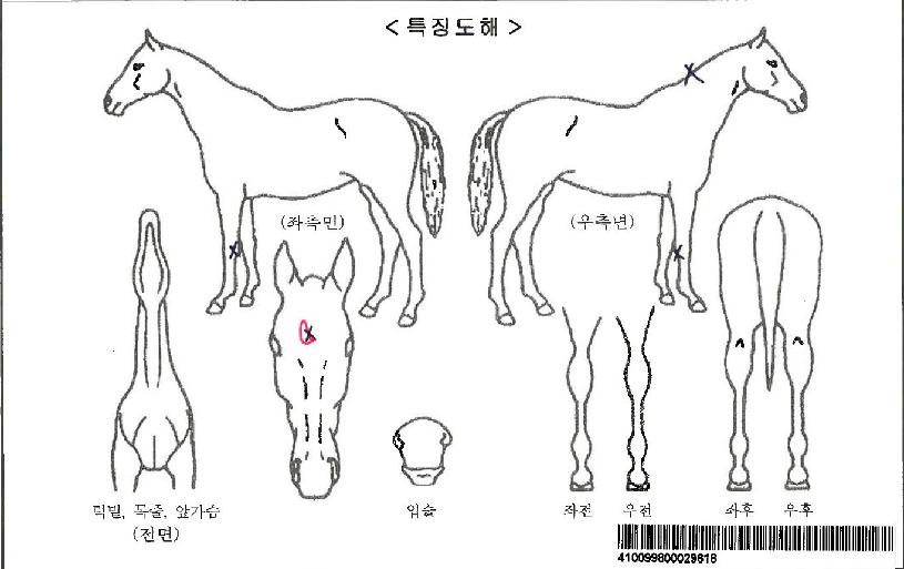 ±×·£µåÆäÀÎÅÍÀÚ¸¶ÀÇ Ãø¸é,¿ì¸é,µÞ¸é,µÎ»ó,´Ù¸®ÀÇ Æ¯Â¡µµÇØ