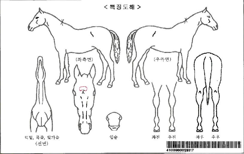 ����Ʈ�����ڸ��� ����,���,�޸�,�λ�,�ٸ��� Ư¡����