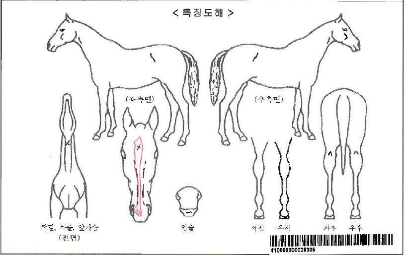 »þÀÎŬ·Î¹öÀÚ¸¶ÀÇ Ãø¸é,¿ì¸é,µÞ¸é,µÎ»ó,´Ù¸®ÀÇ Æ¯Â¡µµÇØ