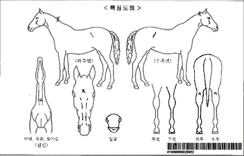 ���������ƽ���ũ�ڸ��� ����,���,�޸�,�λ�,�ٸ��� Ư¡����