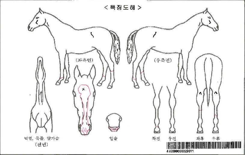 ��Ż���ڸ��� ����,���,�޸�,�λ�,�ٸ��� Ư¡����