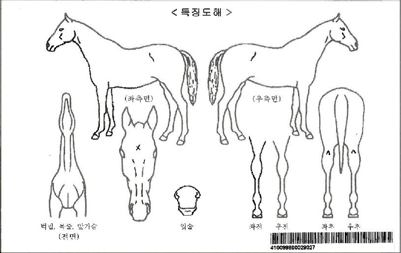 ������ڸ��� ����,���,�޸�,�λ�,�ٸ��� Ư¡����