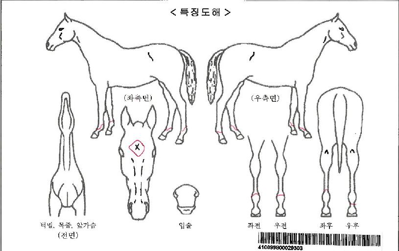 �Ҵ����ڸ��� ����,���,�޸�,�λ�,�ٸ��� Ư¡����