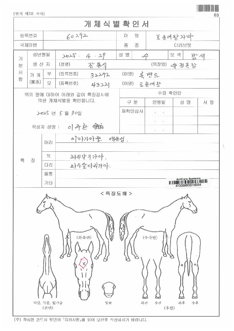 ÅäÁ¾¿©¿ÕÀÚ¸¶ÀÇ Ãø¸é,¿ì¸é,µÞ¸é,µÎ»ó,´Ù¸®ÀÇ Æ¯Â¡µµÇØ