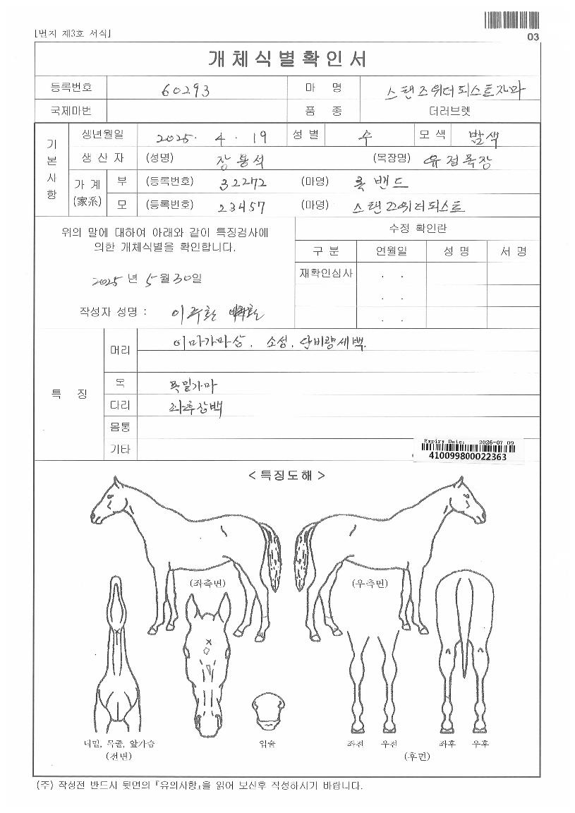 �����������ǽ�Ʈ�ڸ��� ����,���,�޸�,�λ�,�ٸ��� Ư¡����