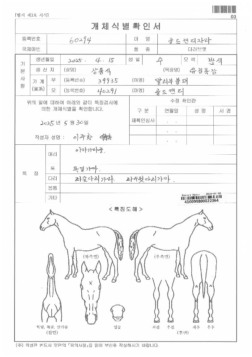 ���ĵ���ڸ��� ����,���,�޸�,�λ�,�ٸ��� Ư¡����