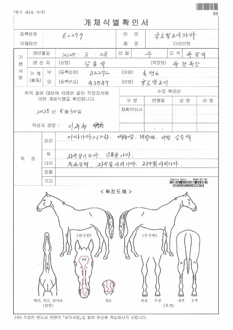 �۷ι������ڸ��� ����,���,�޸�,�λ�,�ٸ��� Ư¡����