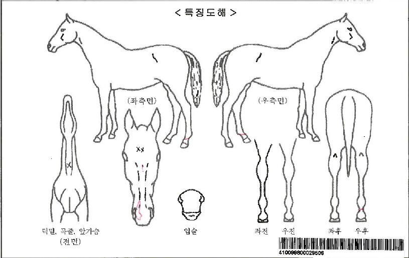 ����Ƽ�Ĵ��ڸ��� ����,���,�޸�,�λ�,�ٸ��� Ư¡����