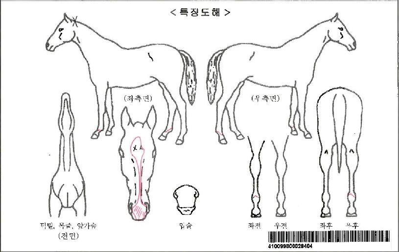 �޴�ü���ڸ��� ����,���,�޸�,�λ�,�ٸ��� Ư¡����