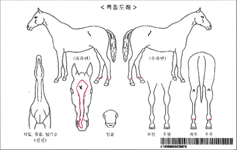 �Ѻ������ڸ��� ����,���,�޸�,�λ�,�ٸ��� Ư¡����