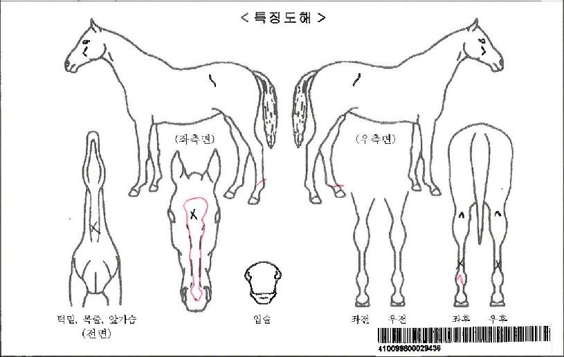 �����ڸ��� ����,���,�޸�,�λ�,�ٸ��� Ư¡����