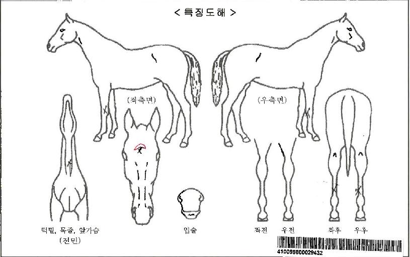 Ŭ¸³½º¾îºê¸ðÇãÀÚ¸¶ÀÇ Ãø¸é,¿ì¸é,µÞ¸é,µÎ»ó,´Ù¸®ÀÇ Æ¯Â¡µµÇØ