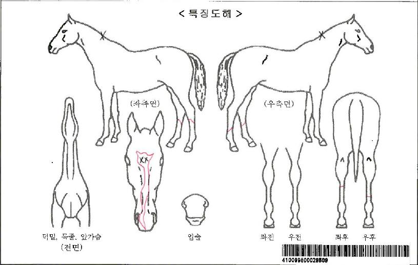 ����è���ڸ��� ����,���,�޸�,�λ�,�ٸ��� Ư¡����