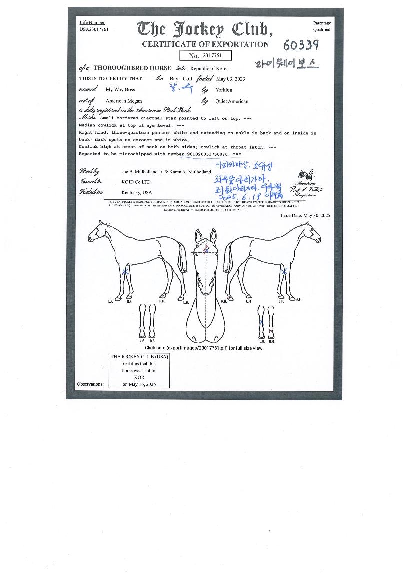 ���̿��̺����� ����,���,�޸�,�λ�,�ٸ��� Ư¡����