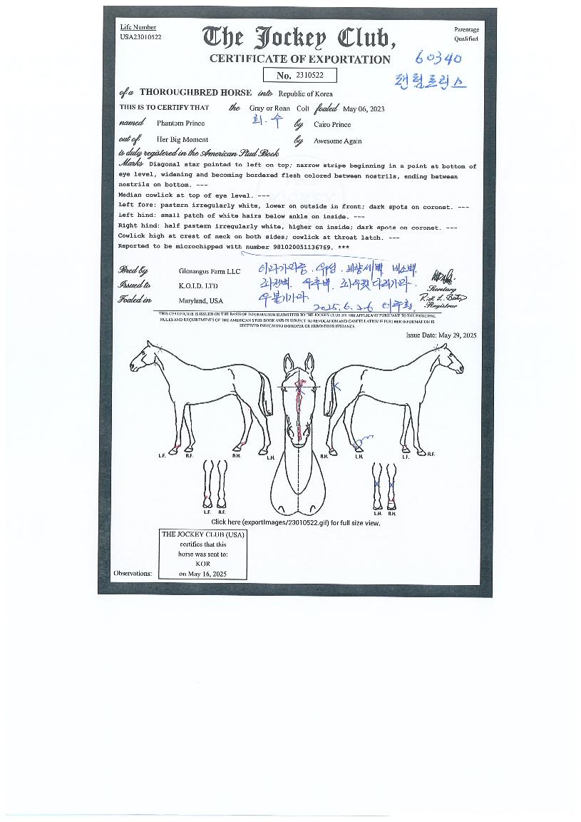 ÆÒÅÒÇÁ¸°½ºÀÇ Ãø¸é,¿ì¸é,µÞ¸é,µÎ»ó,´Ù¸®ÀÇ Æ¯Â¡µµÇØ