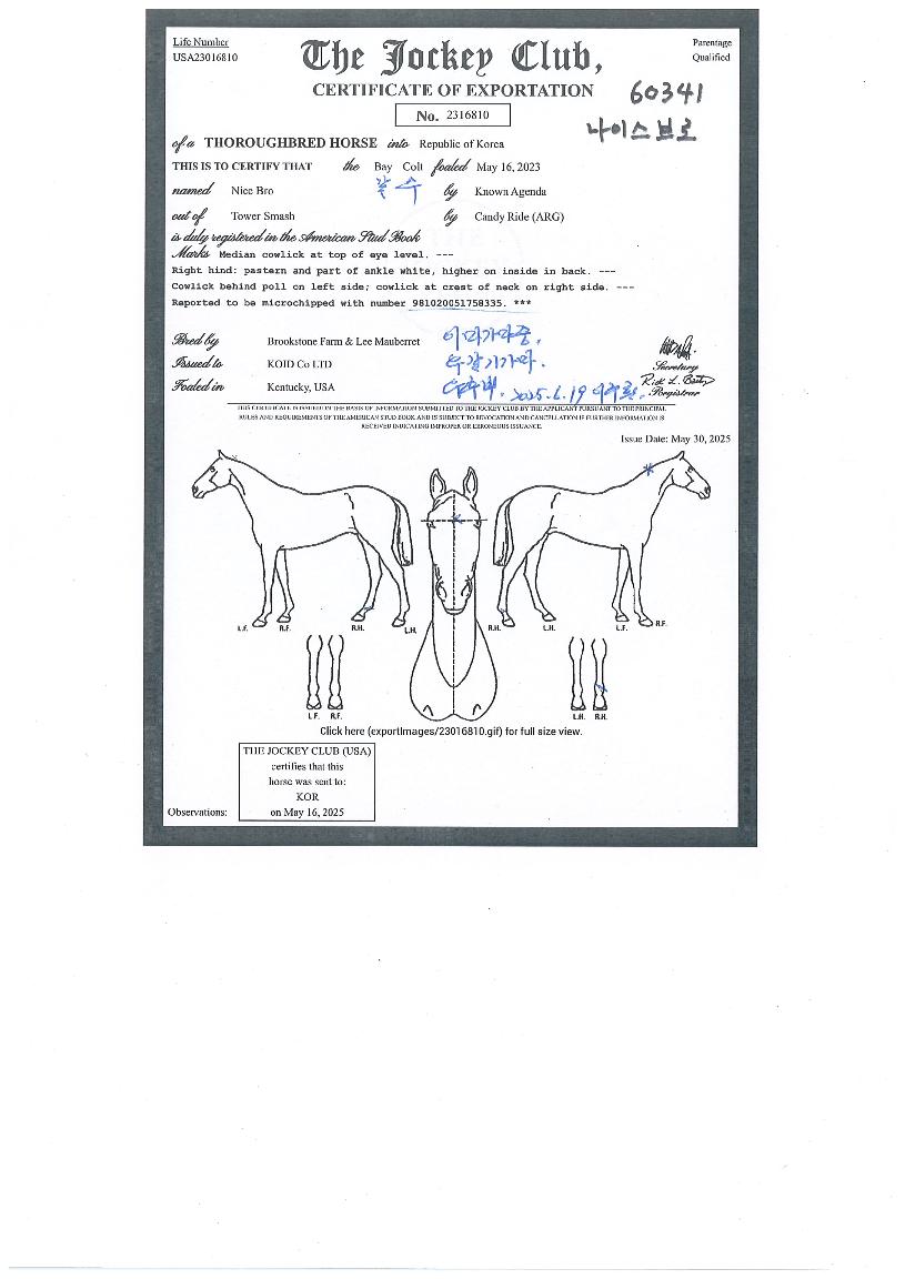 ���̽������ ����,���,�޸�,�λ�,�ٸ��� Ư¡����