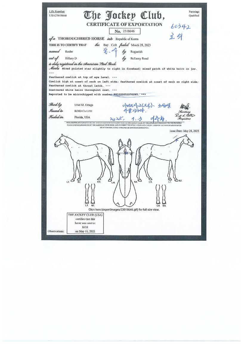 �ν��� ����,���,�޸�,�λ�,�ٸ��� Ư¡����