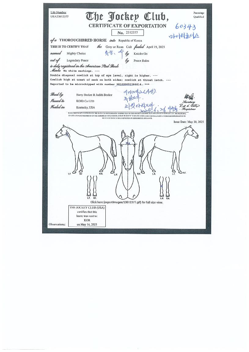 ¸¶ÀÌÆ¼ÃÊÀ̽ºÀÇ Ãø¸é,¿ì¸é,µÞ¸é,µÎ»ó,´Ù¸®ÀÇ Æ¯Â¡µµÇØ