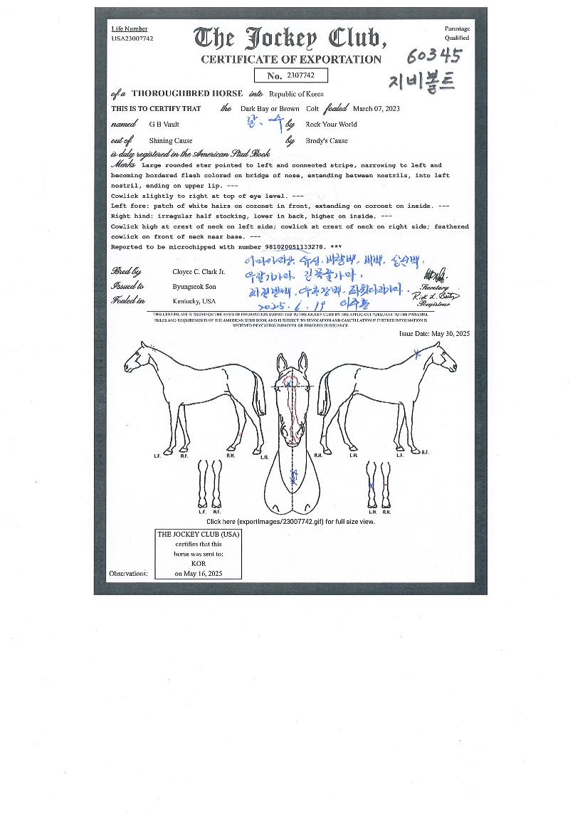 ����Ʈ�� ����,���,�޸�,�λ�,�ٸ��� Ư¡����