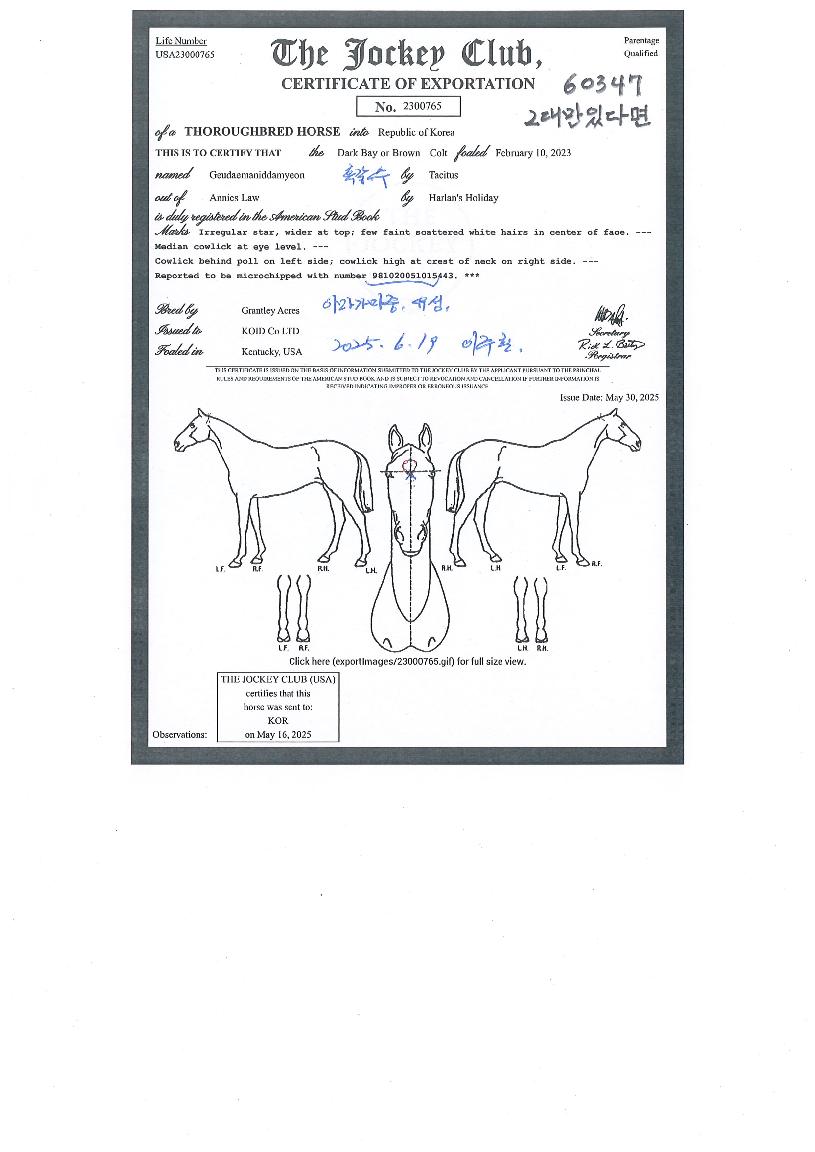 �״븸�ִٸ��� ����,���,�޸�,�λ�,�ٸ��� Ư¡����