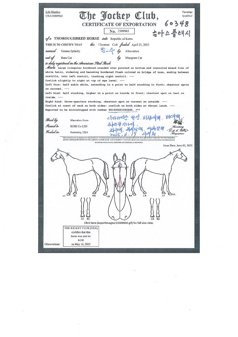 �ݾƽ��÷����� ����,���,�޸�,�λ�,�ٸ��� Ư¡����