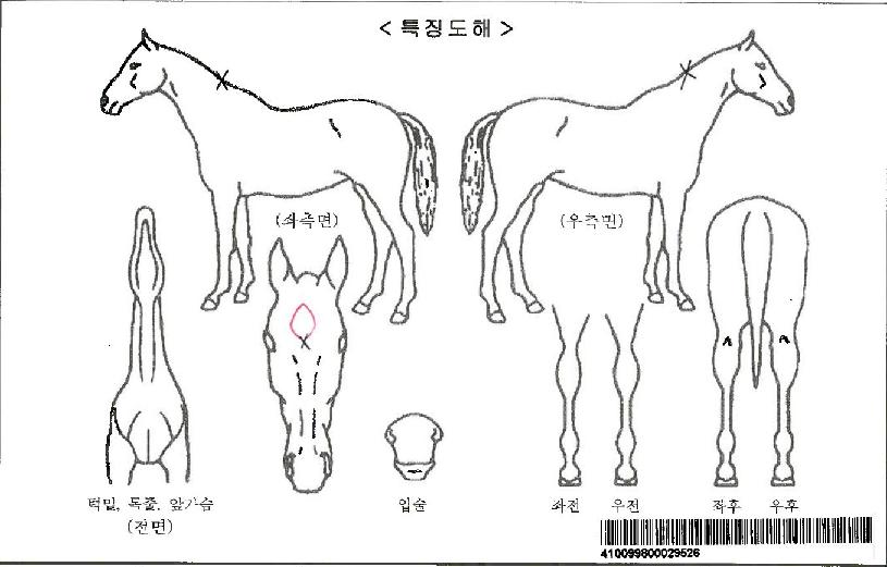 Űī�ڸ��� ����,���,�޸�,�λ�,�ٸ��� Ư¡����