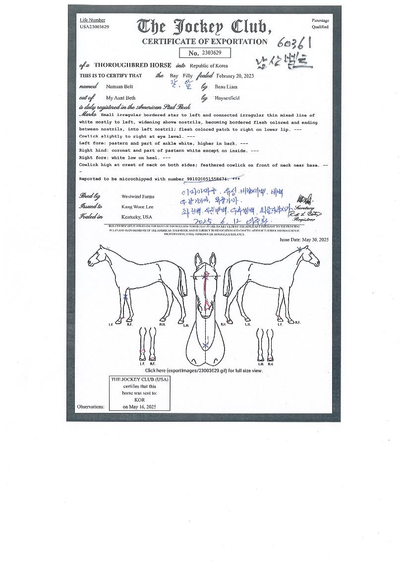 ³²»êº§Æ®ÀÇ Ãø¸é,¿ì¸é,µÞ¸é,µÎ»ó,´Ù¸®ÀÇ Æ¯Â¡µµÇØ