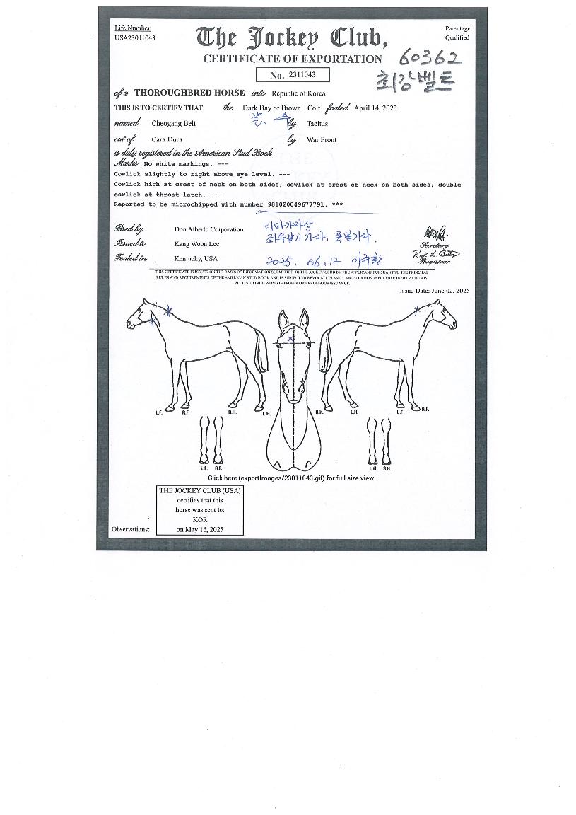 �ְ���Ʈ�� ����,���,�޸�,�λ�,�ٸ��� Ư¡����