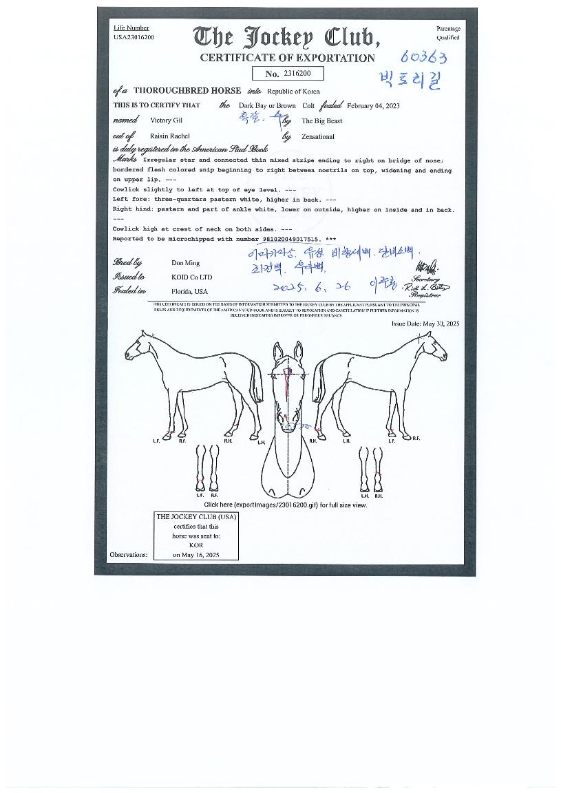 ºòÅ丮±æÀÇ Ãø¸é,¿ì¸é,µÞ¸é,µÎ»ó,´Ù¸®ÀÇ Æ¯Â¡µµÇØ