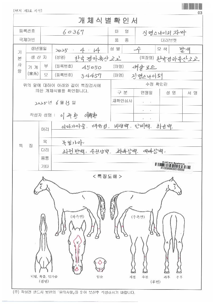 �������������ڸ��� ����,���,�޸�,�λ�,�ٸ��� Ư¡����