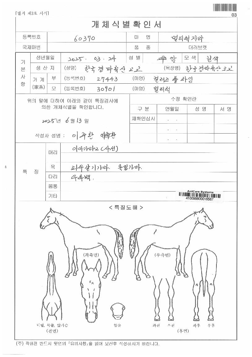 ��Ƽ���ڸ��� ����,���,�޸�,�λ�,�ٸ��� Ư¡����