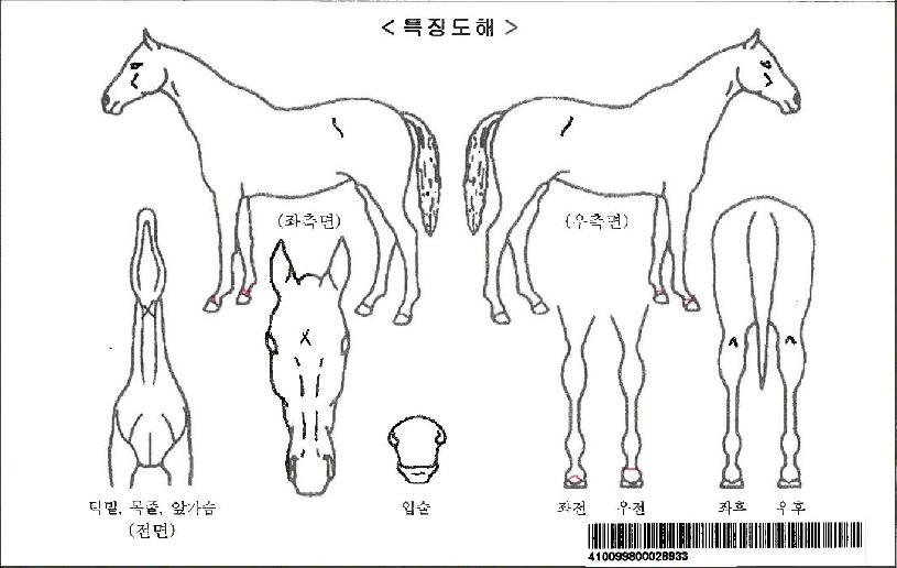 ��Ƽ���Ʈ���ڸ��� ����,���,�޸�,�λ�,�ٸ��� Ư¡����