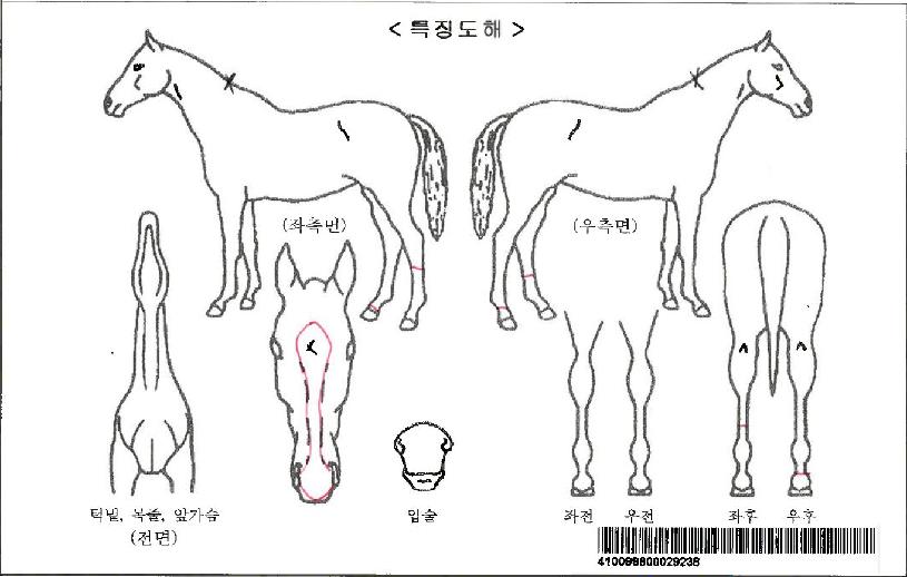 ���꿡�̽��ڸ��� ����,���,�޸�,�λ�,�ٸ��� Ư¡����