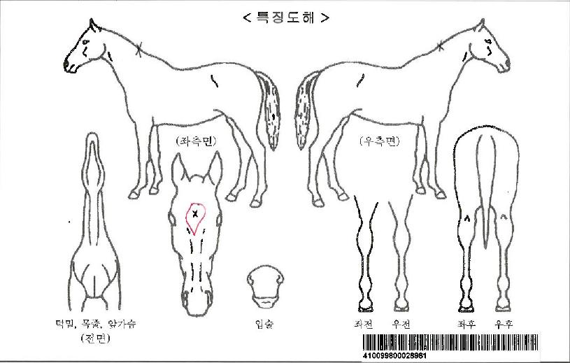 ���̽������ڸ��� ����,���,�޸�,�λ�,�ٸ��� Ư¡����