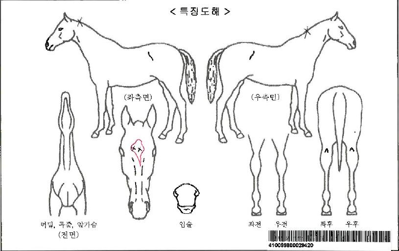 ��������Ÿ�ڸ��� ����,���,�޸�,�λ�,�ٸ��� Ư¡����