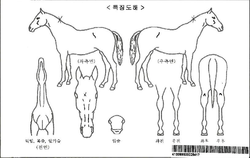 ¼±·Îµé¸®ÀÚ¸¶ÀÇ Ãø¸é,¿ì¸é,µÞ¸é,µÎ»ó,´Ù¸®ÀÇ Æ¯Â¡µµÇØ