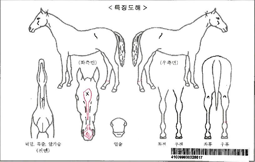 ���������ڸ��� ����,���,�޸�,�λ�,�ٸ��� Ư¡����