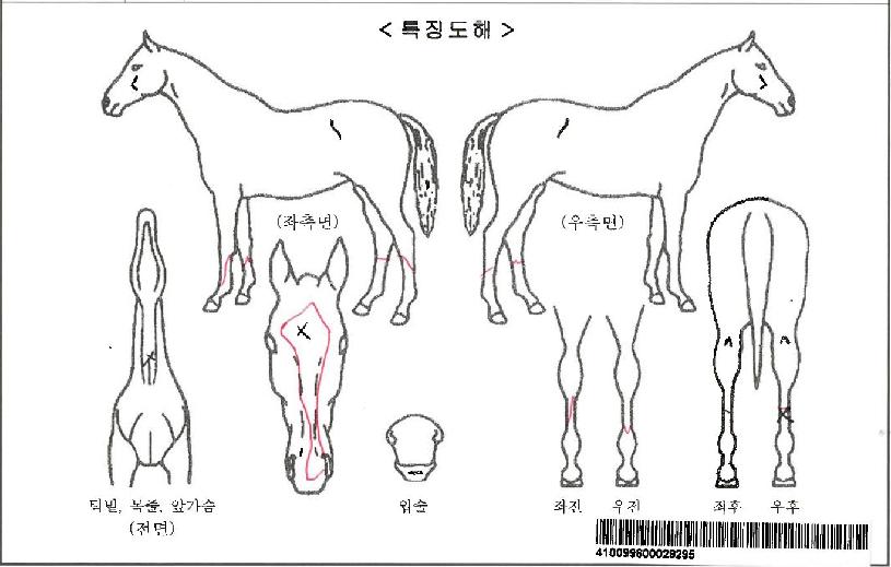 ¸Å±×´ÏÇǼ¾Æ®¸¶ÀÎÀÚ¸¶ÀÇ Ãø¸é,¿ì¸é,µÞ¸é,µÎ»ó,´Ù¸®ÀÇ Æ¯Â¡µµÇØ