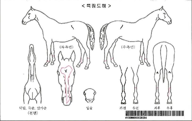 ���º����ڸ��� ����,���,�޸�,�λ�,�ٸ��� Ư¡����