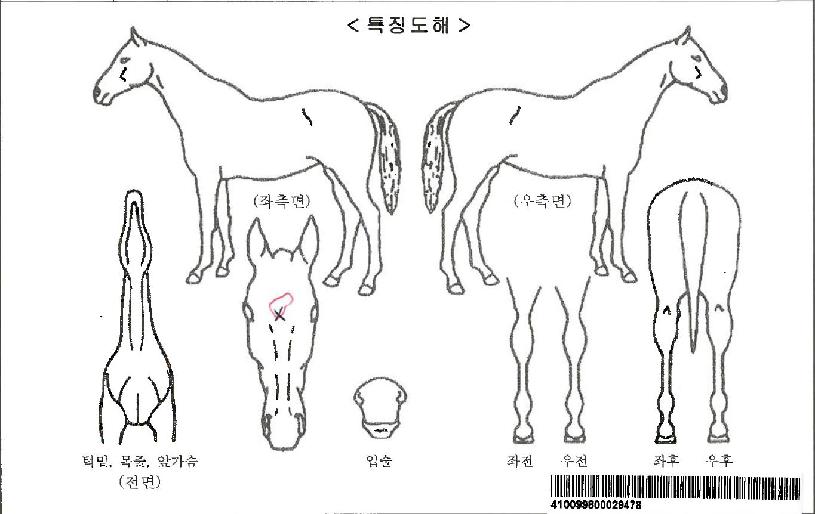 ����Ǯ�ǽ��ڸ��� ����,���,�޸�,�λ�,�ٸ��� Ư¡����