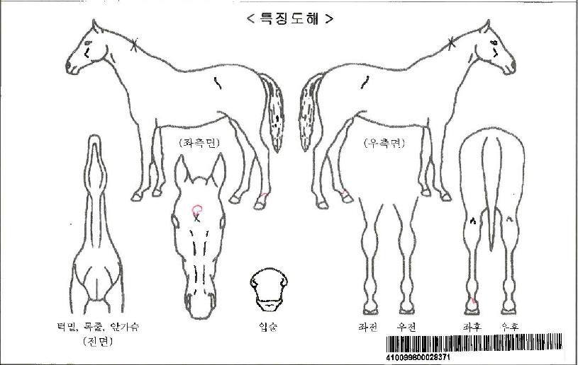 ·°Å°È¦¸®µ¥ÀÌÀÚ¸¶ÀÇ Ãø¸é,¿ì¸é,µÞ¸é,µÎ»ó,´Ù¸®ÀÇ Æ¯Â¡µµÇØ