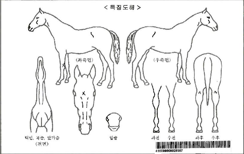 ���¸�ε��ڸ��� ����,���,�޸�,�λ�,�ٸ��� Ư¡����