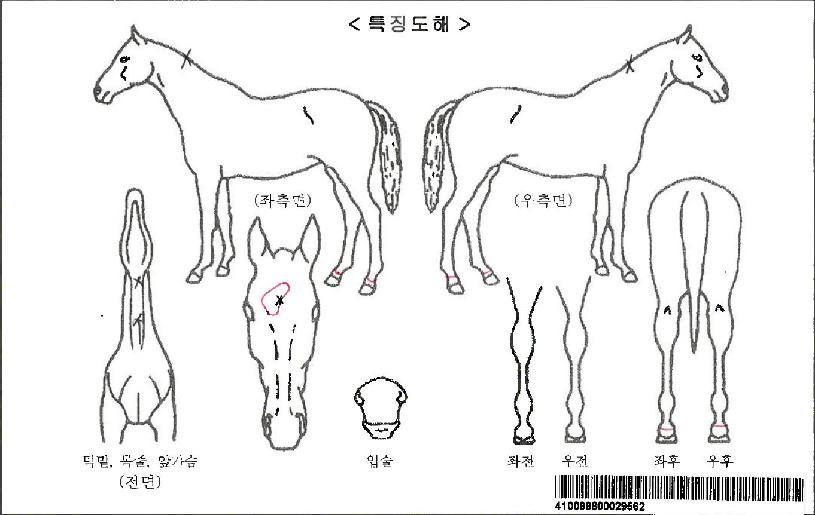 ����Ʈ��������ڸ��� ����,���,�޸�,�λ�,�ٸ��� Ư¡����