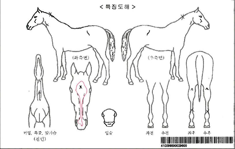 Ŭ�������ǵ��ڸ��� ����,���,�޸�,�λ�,�ٸ��� Ư¡����