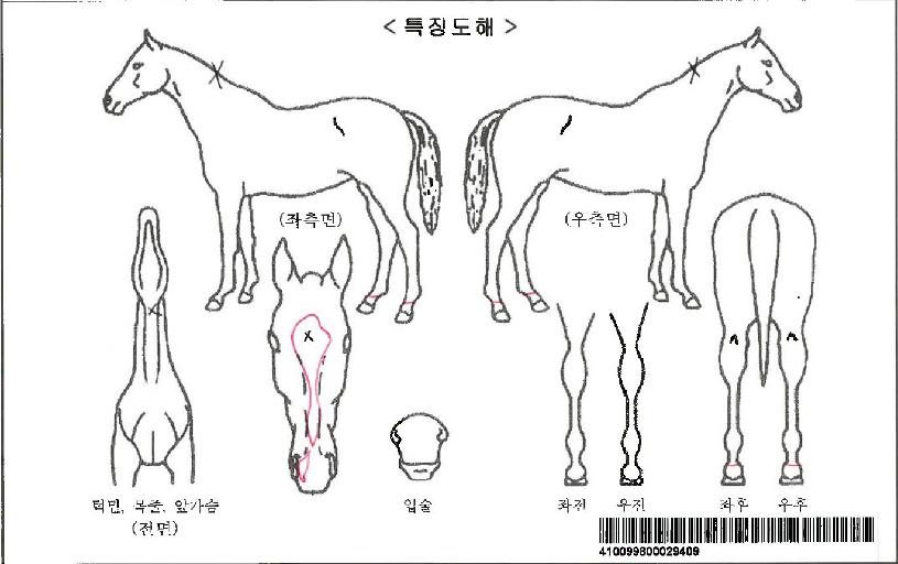 �÷θ����Ŀ��ڸ��� ����,���,�޸�,�λ�,�ٸ��� Ư¡����