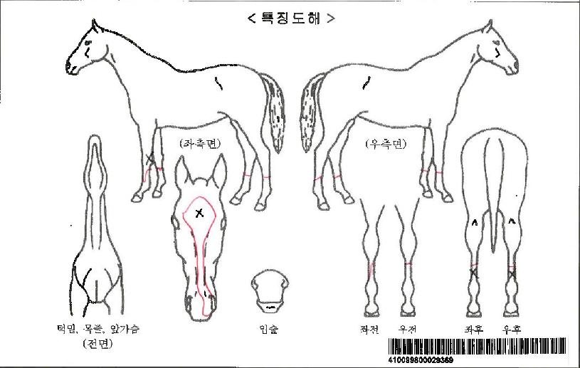 �����Ǽ��������ڸ��� ����,���,�޸�,�λ�,�ٸ��� Ư¡����