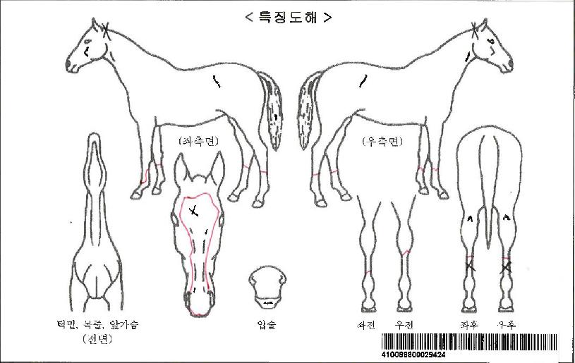 Ƽ�����ڸ��� ����,���,�޸�,�λ�,�ٸ��� Ư¡����